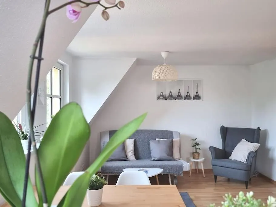 2 Room Apt At It-District Neustadt & Free Parking Dresden Apartment